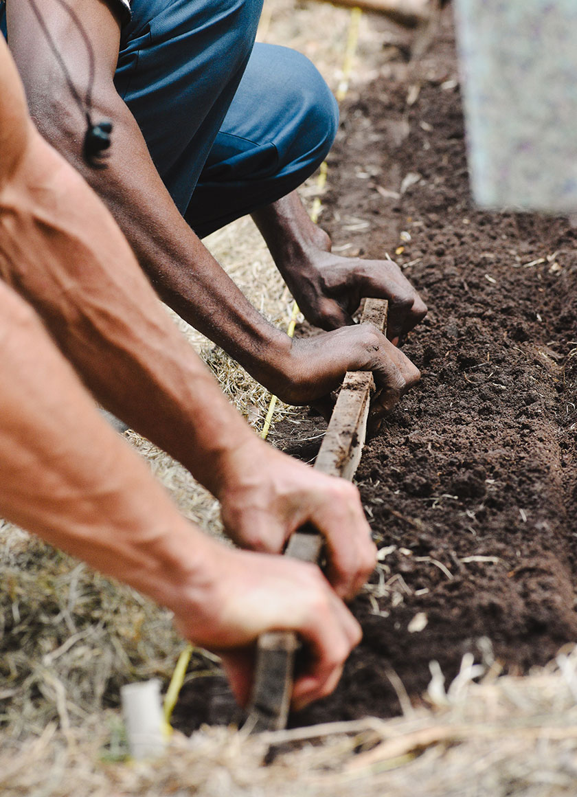 Agricultural Interns
